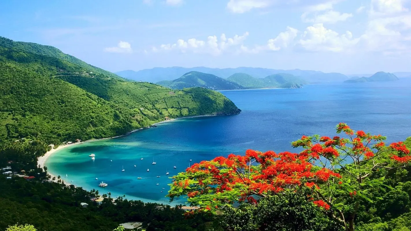 全自动节能高端